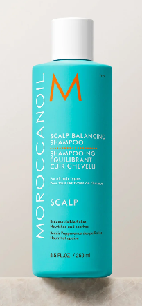 Shampooing Équilibrant Cuir Chevelu - Moroccanoil